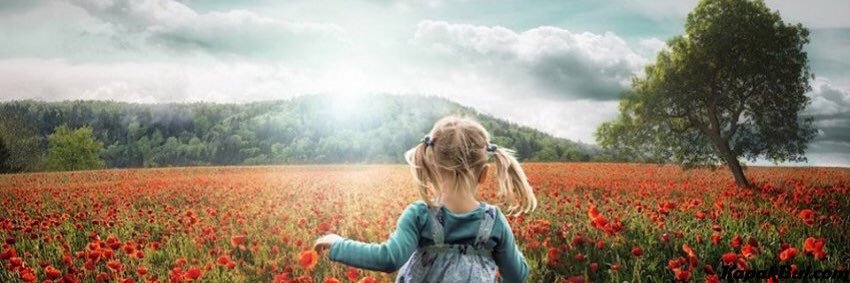 Merve banner