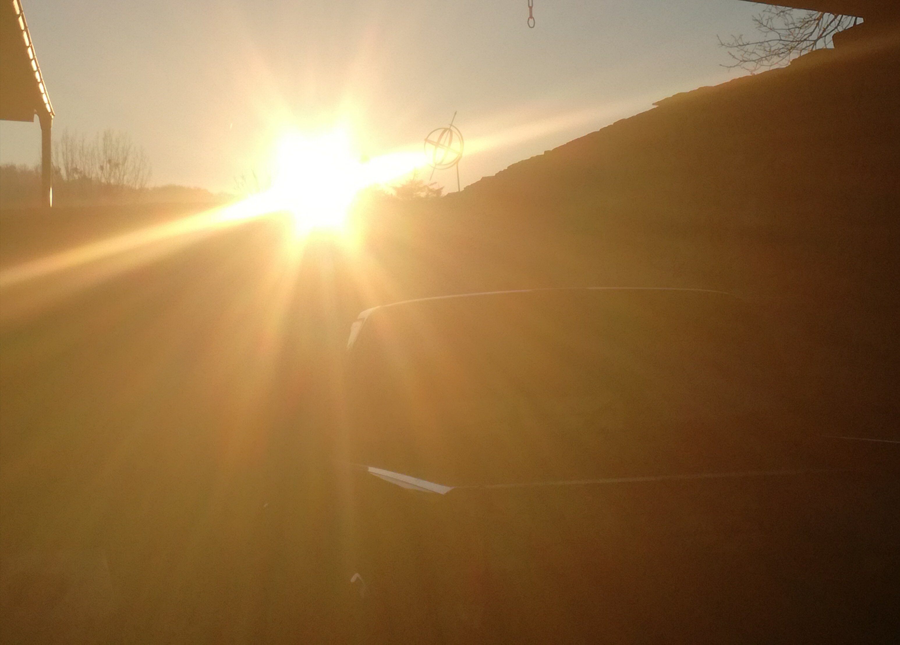 SunReal369's profile banner image