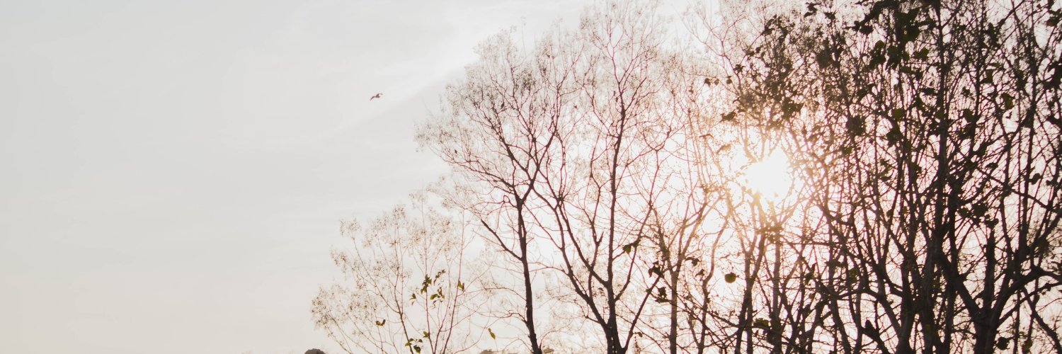 tinybubblezzzz's profile banner image