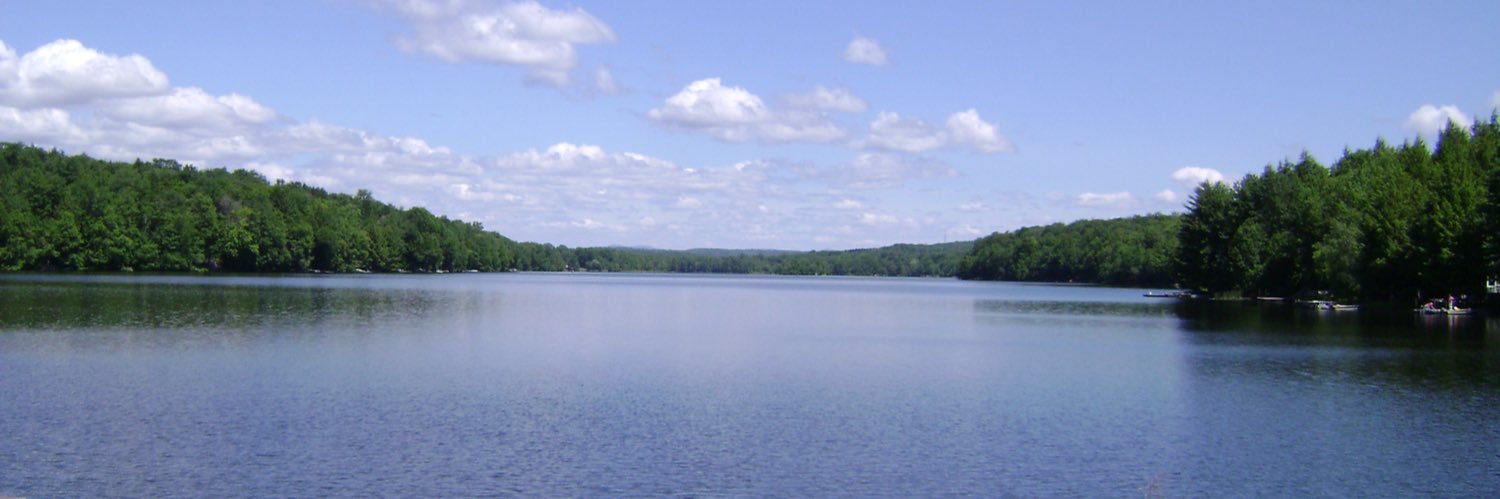 Marion Forgatch, Ph.D banner