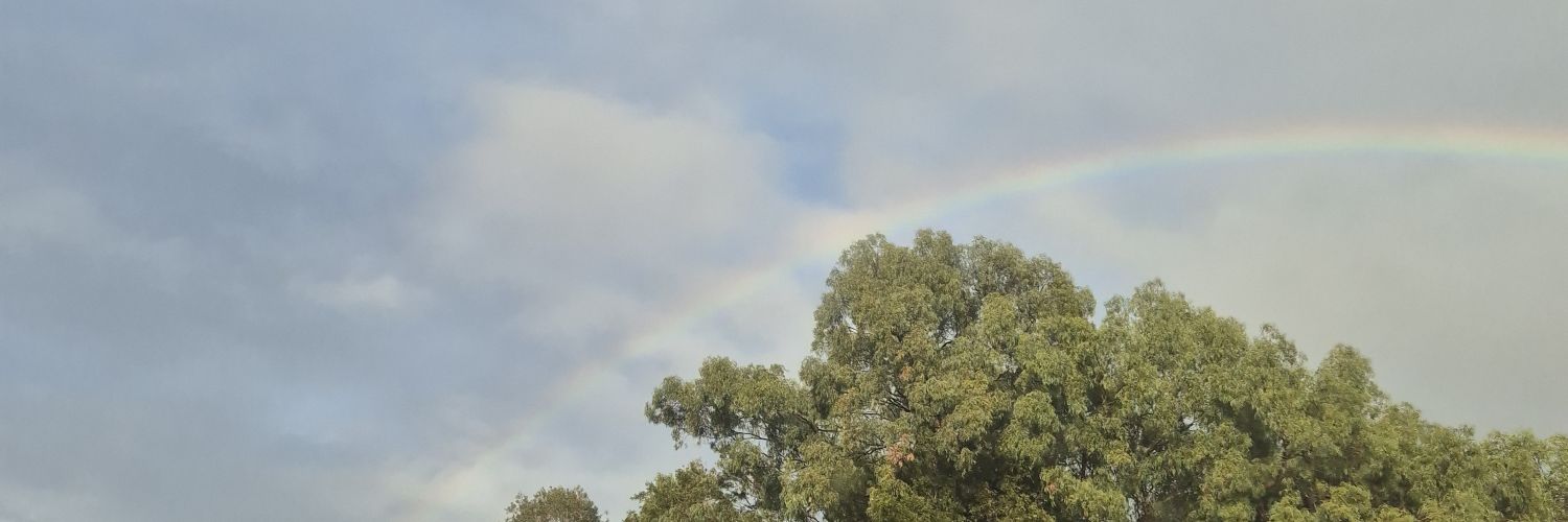 Snnowh's profile banner image