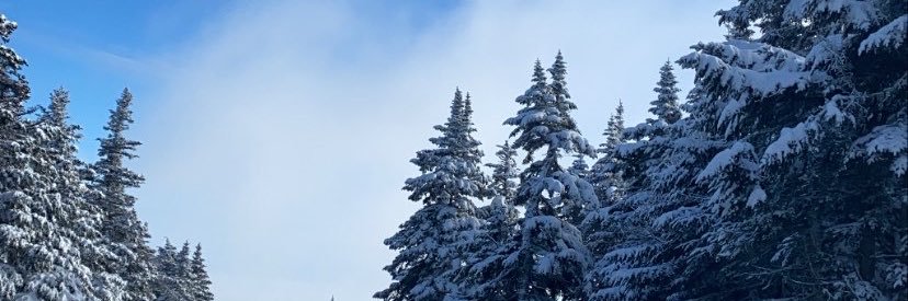 dieg0r0dz's profile banner image