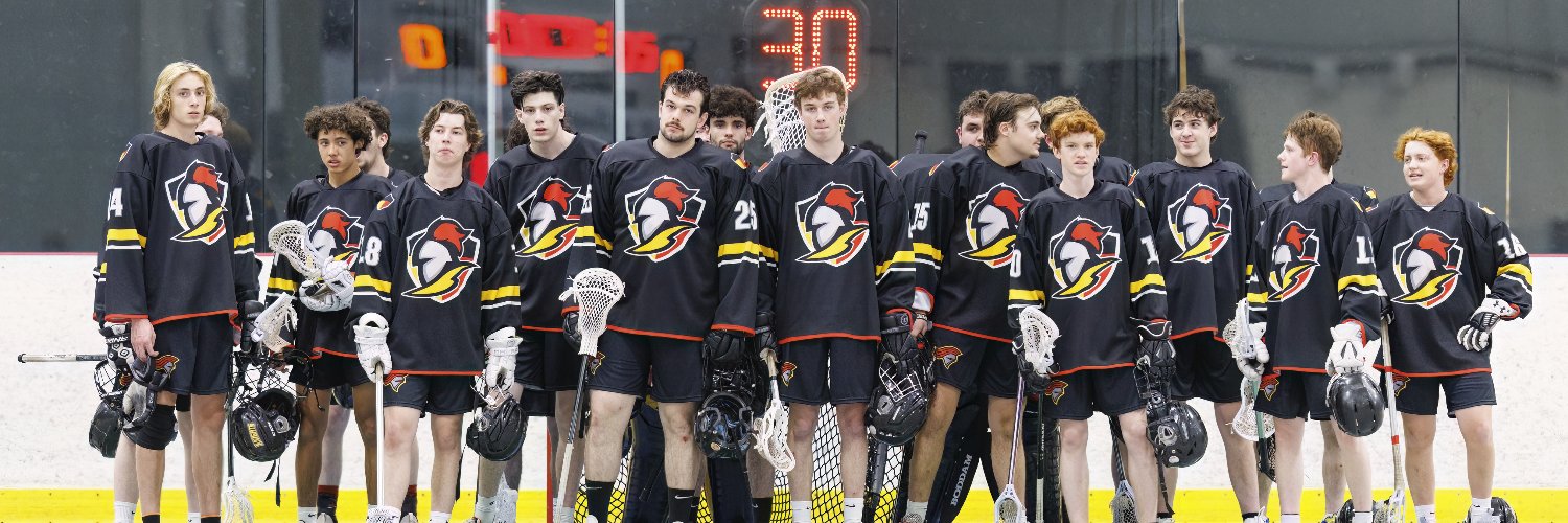 Nepean Knights Jr C Lax banner
