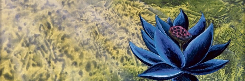 lamb_lord's profile banner image