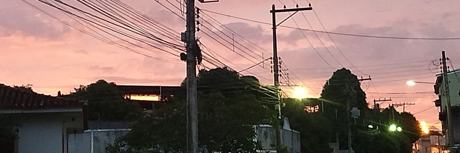 alicinha banner