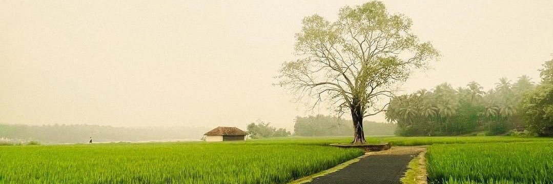 caj_73's profile banner image