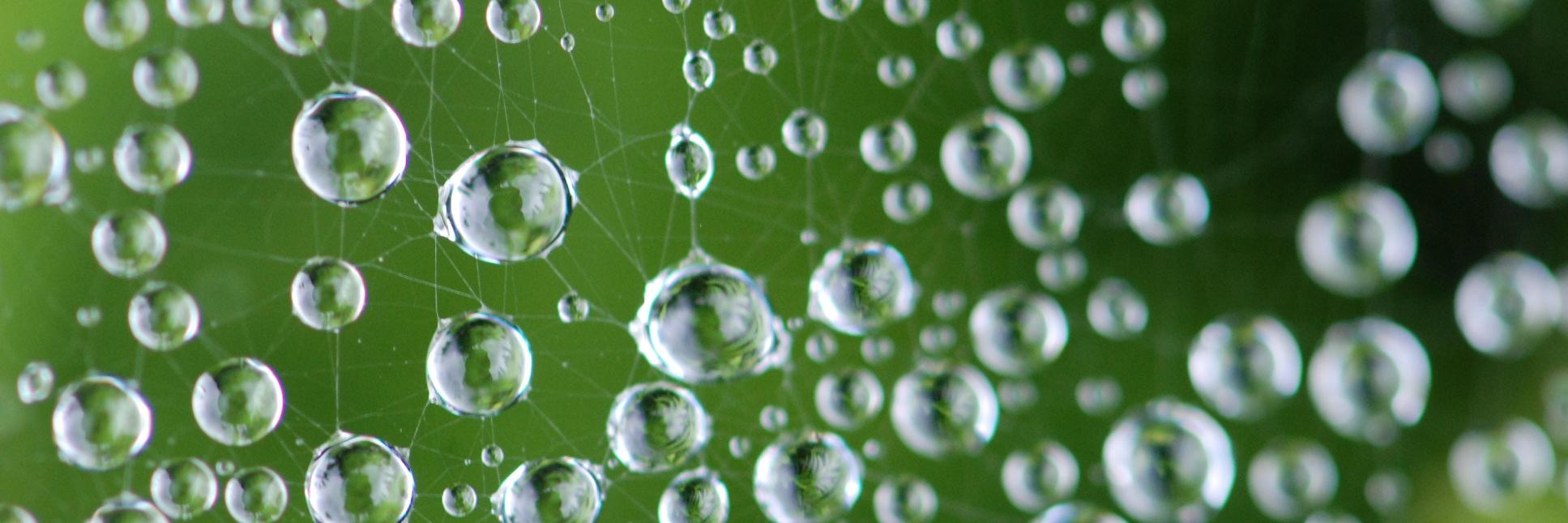 JAgensgraph's profile banner image