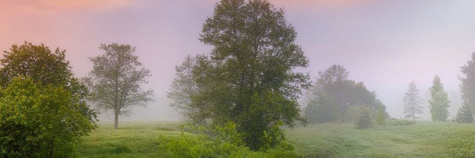 Alim_VV's profile banner image