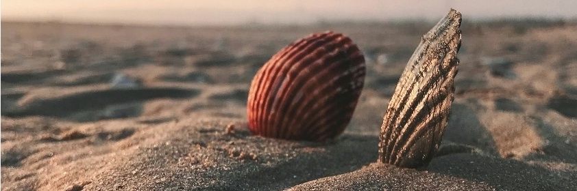 dezmau's profile banner image