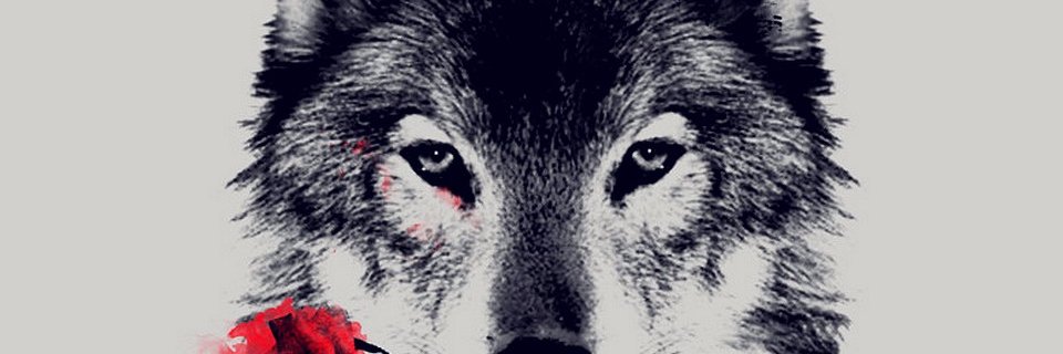 megamegik's profile banner image