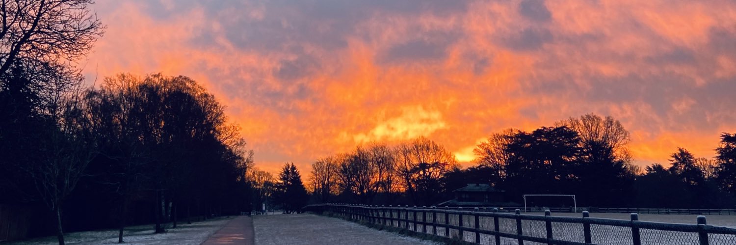 shessel01's profile banner image