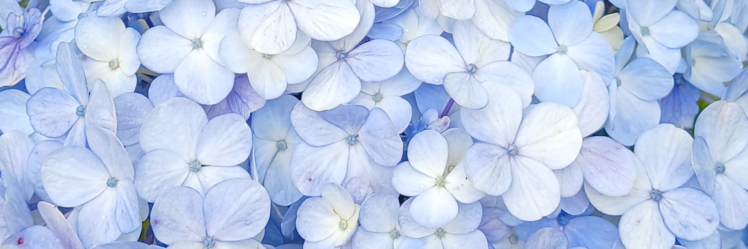 ؘ banner