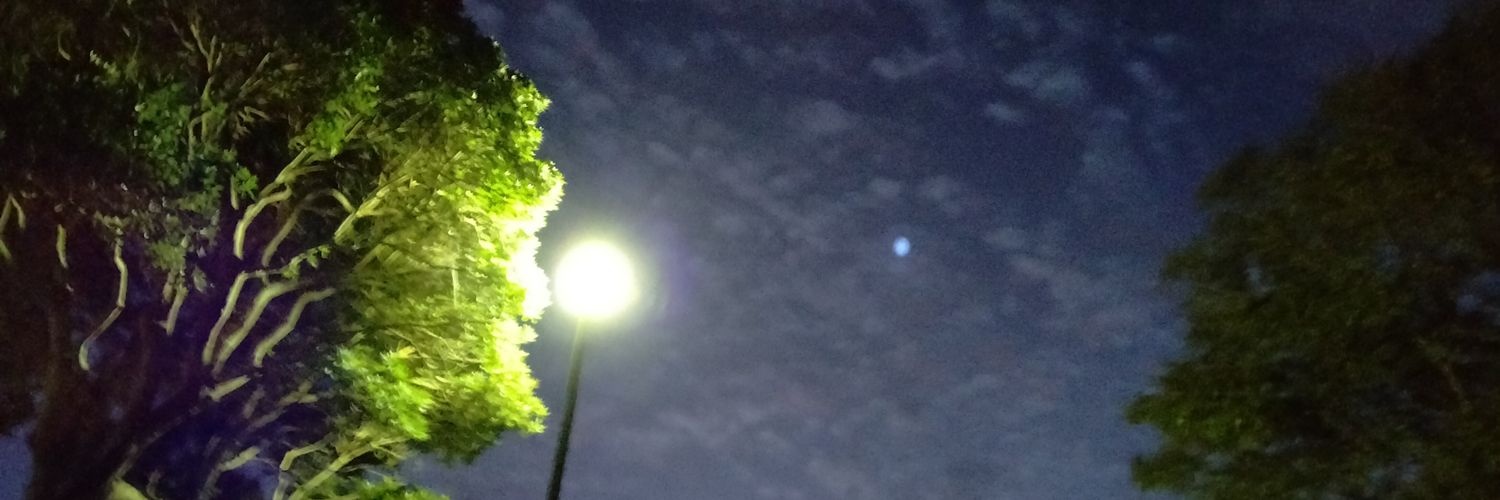 tarayan_united's profile banner image