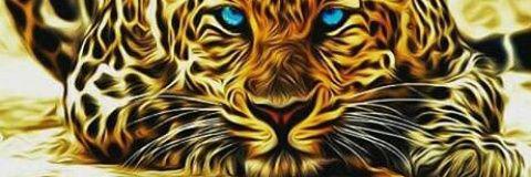 Minnie_Barbiex3's profile banner image