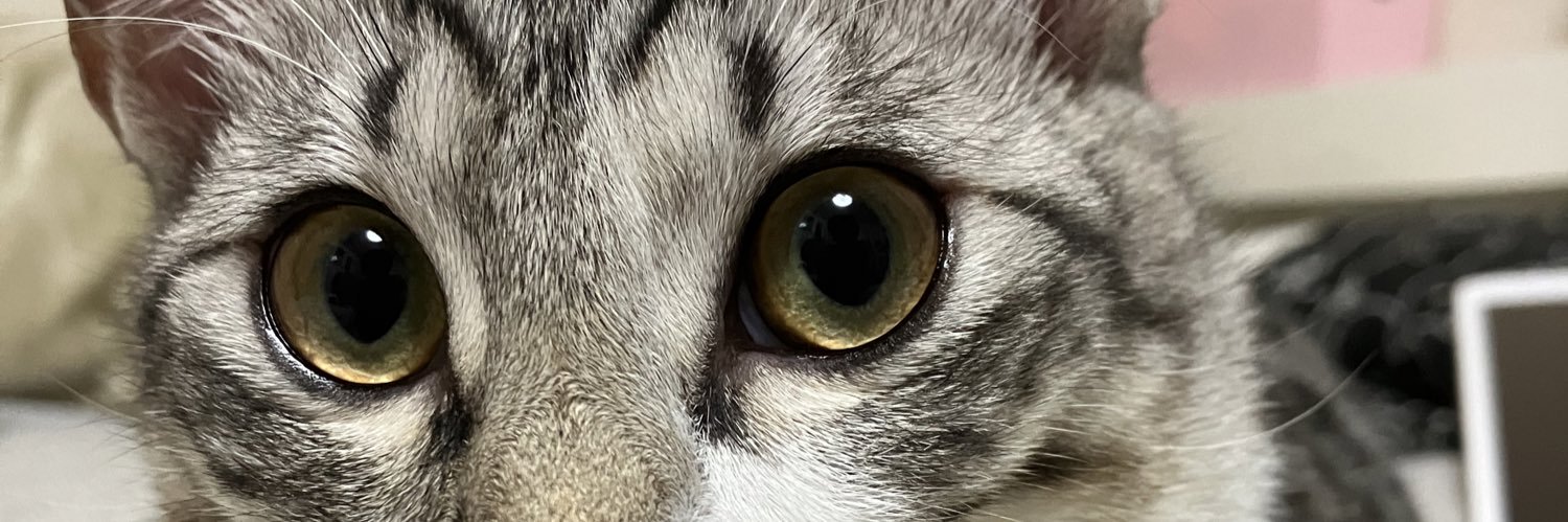mackey13102's profile banner image