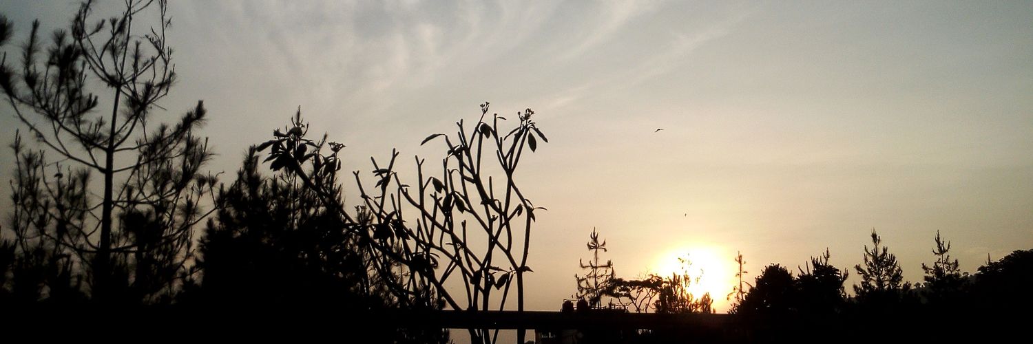 ciciprmt's profile banner image