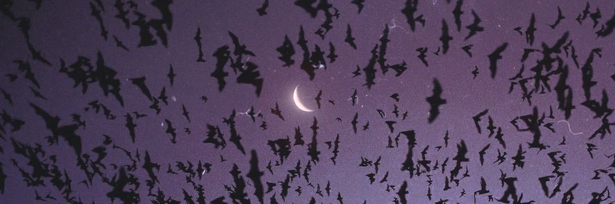 ♡ banner