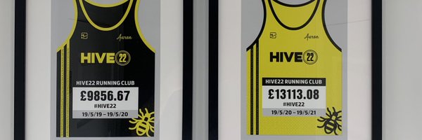 Hive22Running Profile Banner