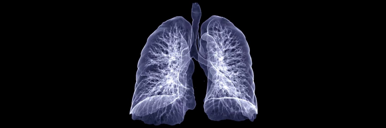 Hugo Farne 🫁 banner