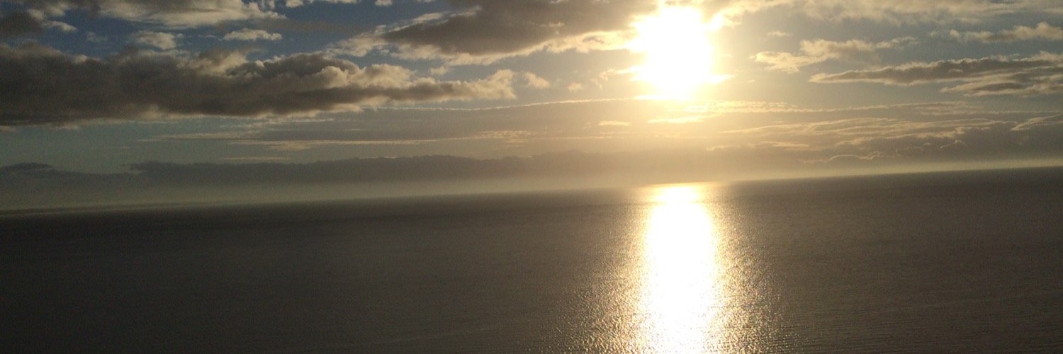 Ryan dittmann banner