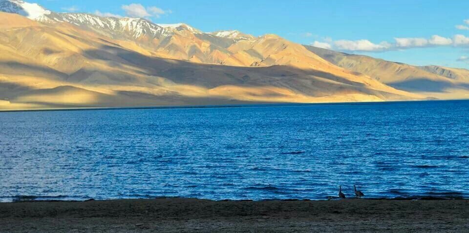 _MayurSaxena's profile banner image