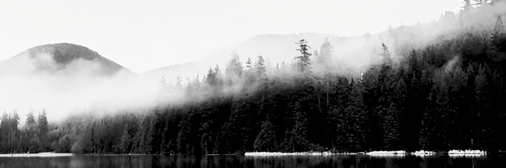 yevchan's profile banner image
