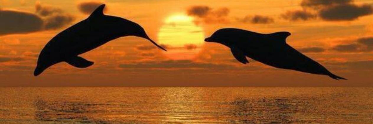 tn26's profile banner image