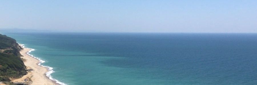 Engin Yeğnidemir banner