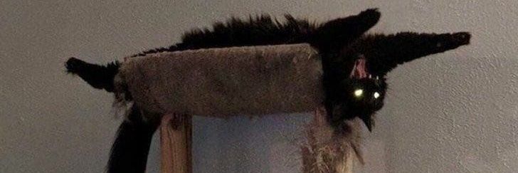 poserrr! banner