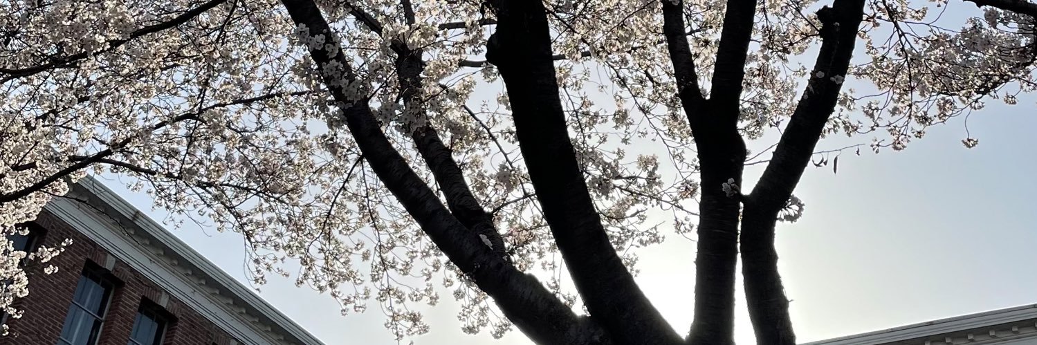 cadayang's profile banner image