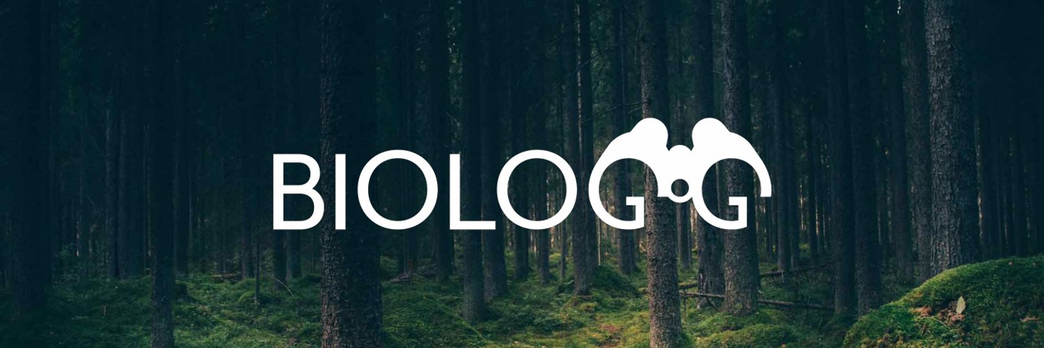 Biologg 🌱🍄🌲🦔 Profile Banner