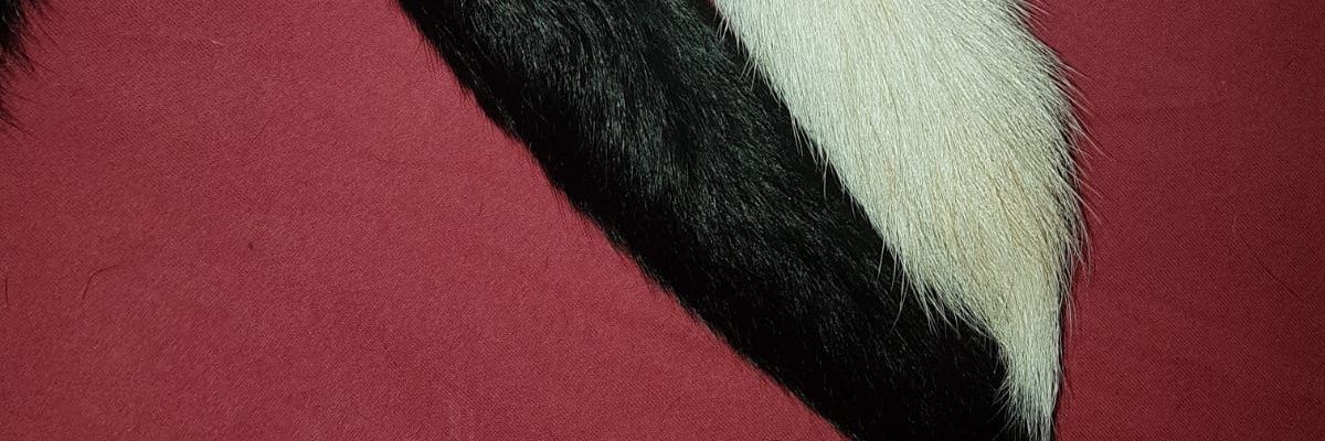 tuermler's profile banner image