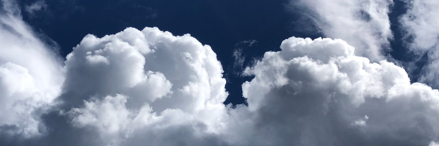 David Allen LaPoint banner