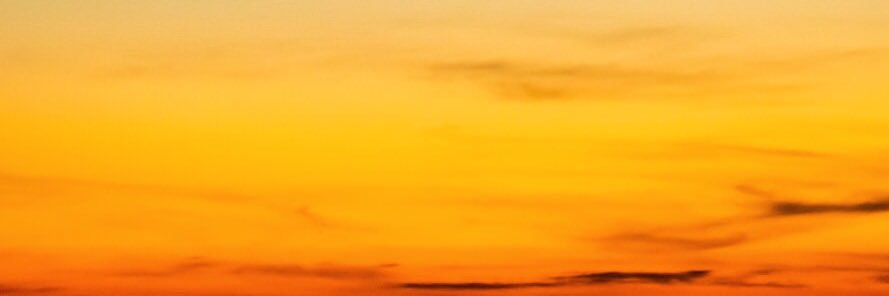 目が麻痺ィン banner