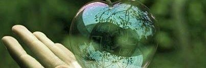 MCC1951's profile banner image