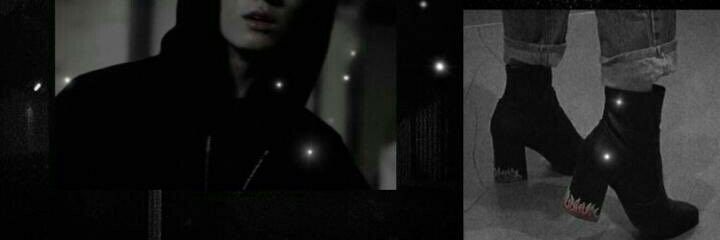 Newtus banner