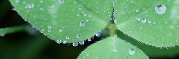 HarmonyOrgUK Profile Banner