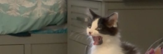 leximcg_'s profile banner image