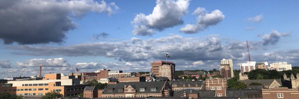 NazaninKFP Profile Banner