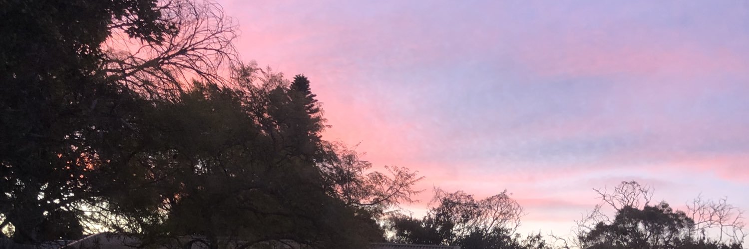 becschafer's profile banner image