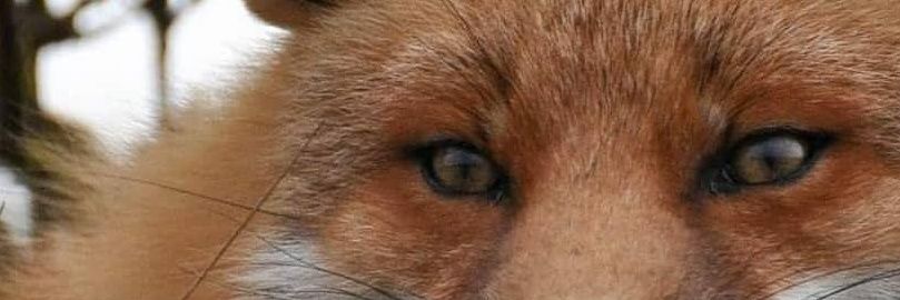 DanThaMan578's profile banner image