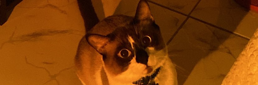 badmimi_1's profile banner image