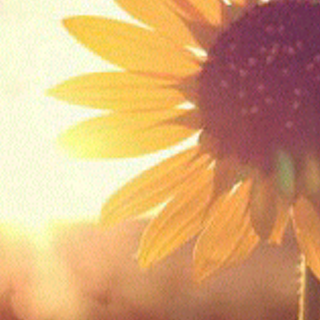 Rabiatul_033's profile banner image