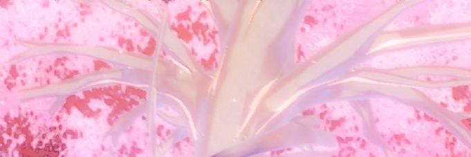 ghostinyu's profile banner image