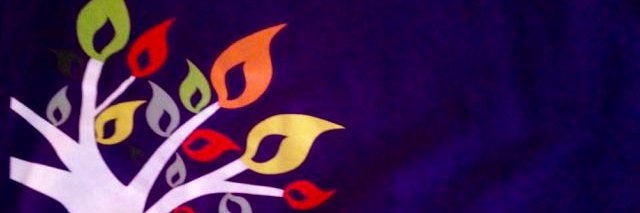 Lewisham Unity banner