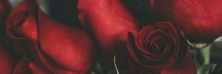 𝐃𝐀𝐋𝐈𝐀 👩🏼‍💻 banner