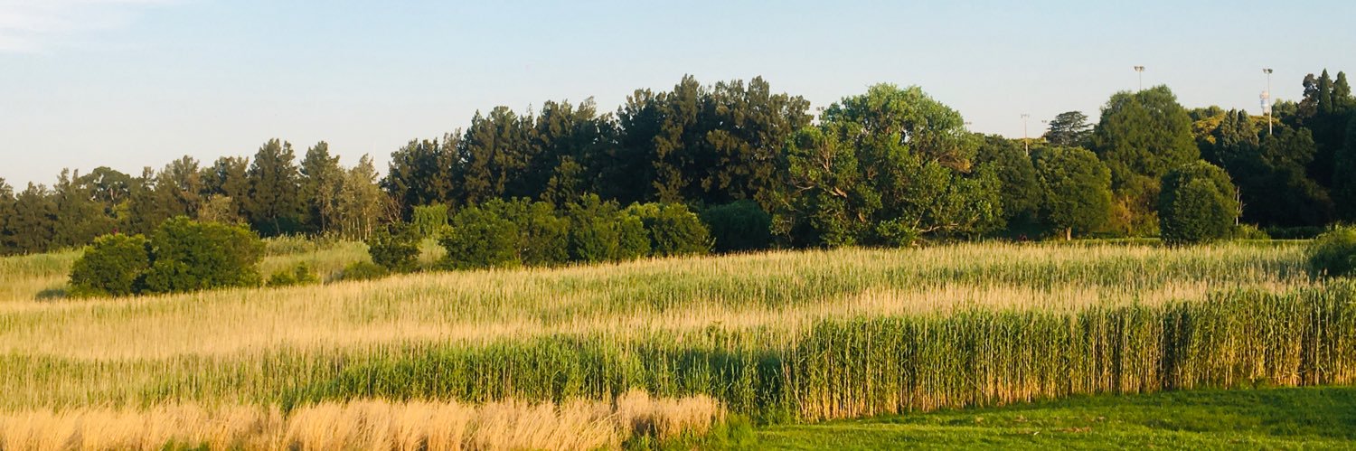 MaNgconde 🇿🇦 banner