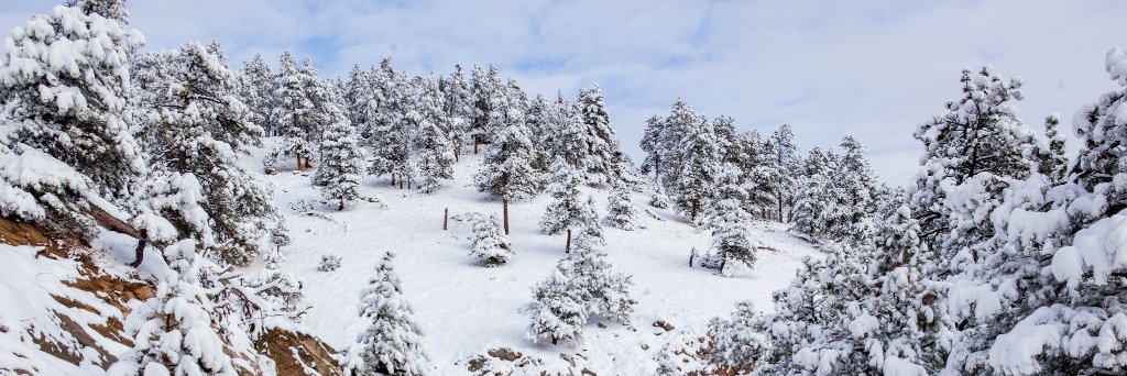 ColoradoNews's profile banner image