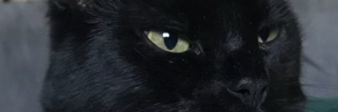 Kayleigh Rose banner