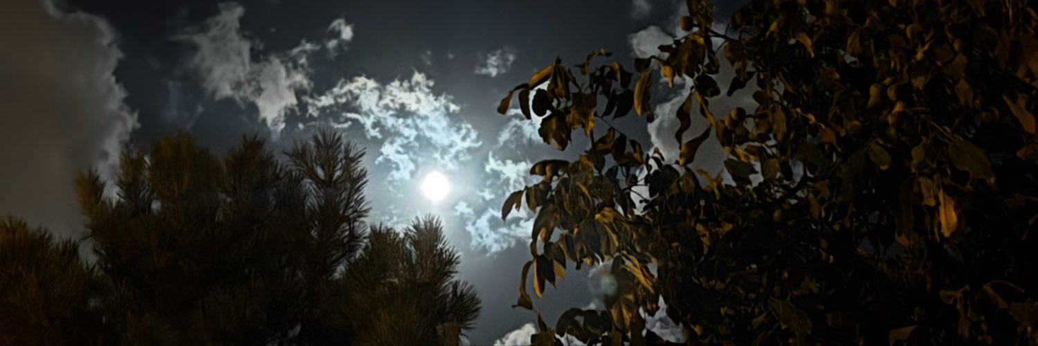 maliikko's profile banner image